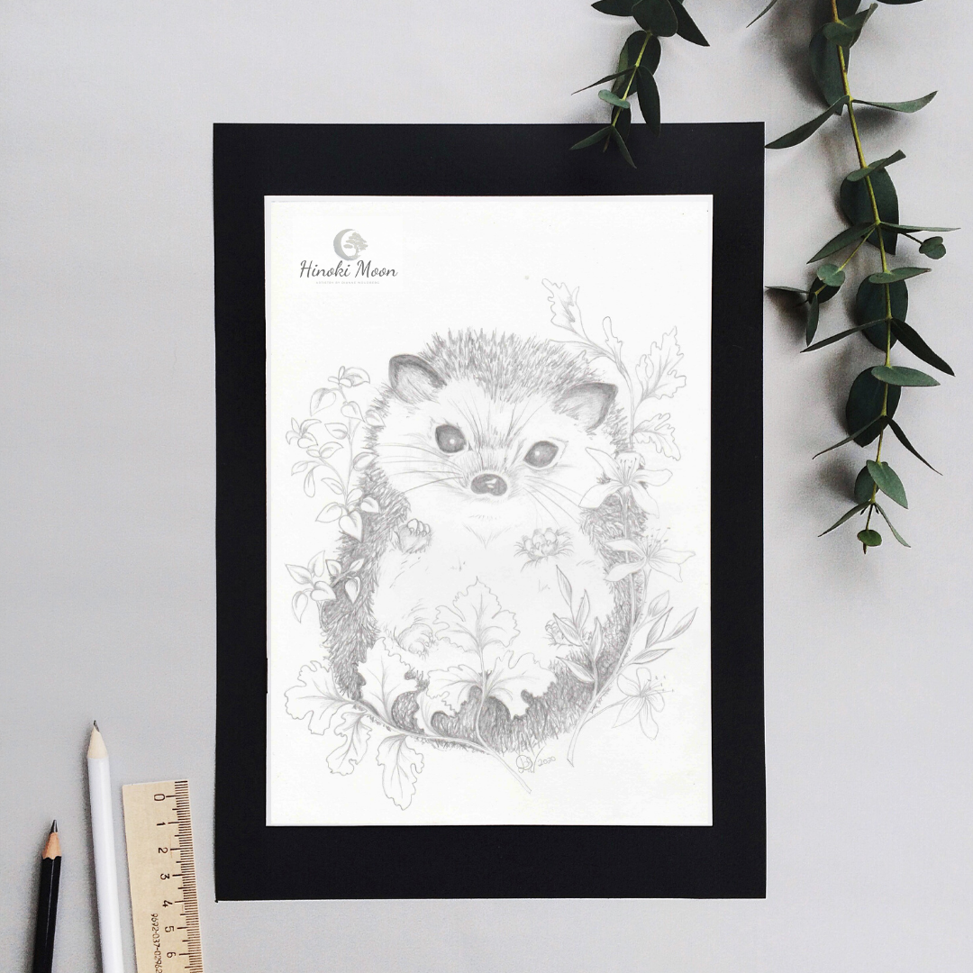 Pencil drawing of a hedgehog in foliage by Dianne Woudberg