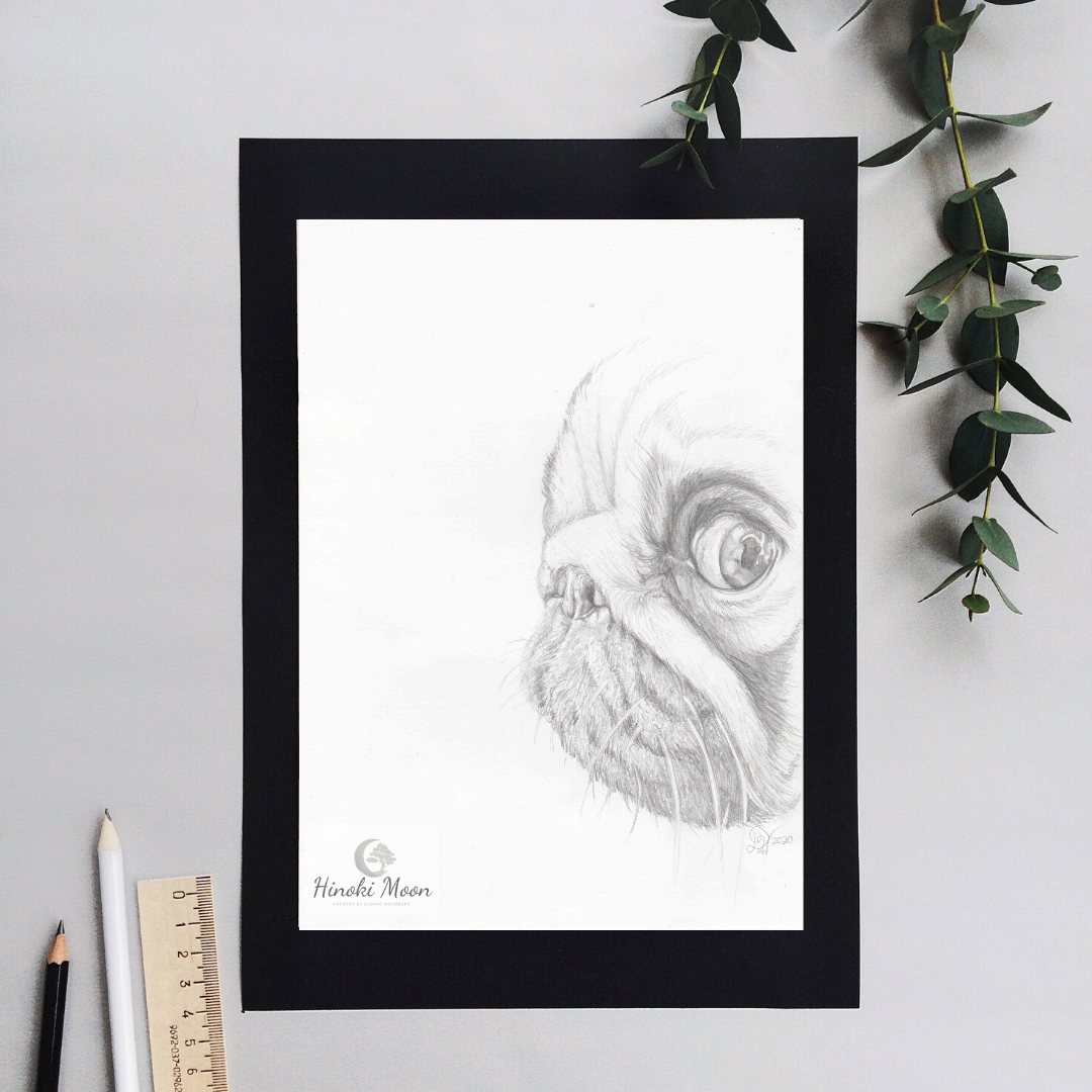 Pencil drawing of a curious pug by Dianne Woudberg