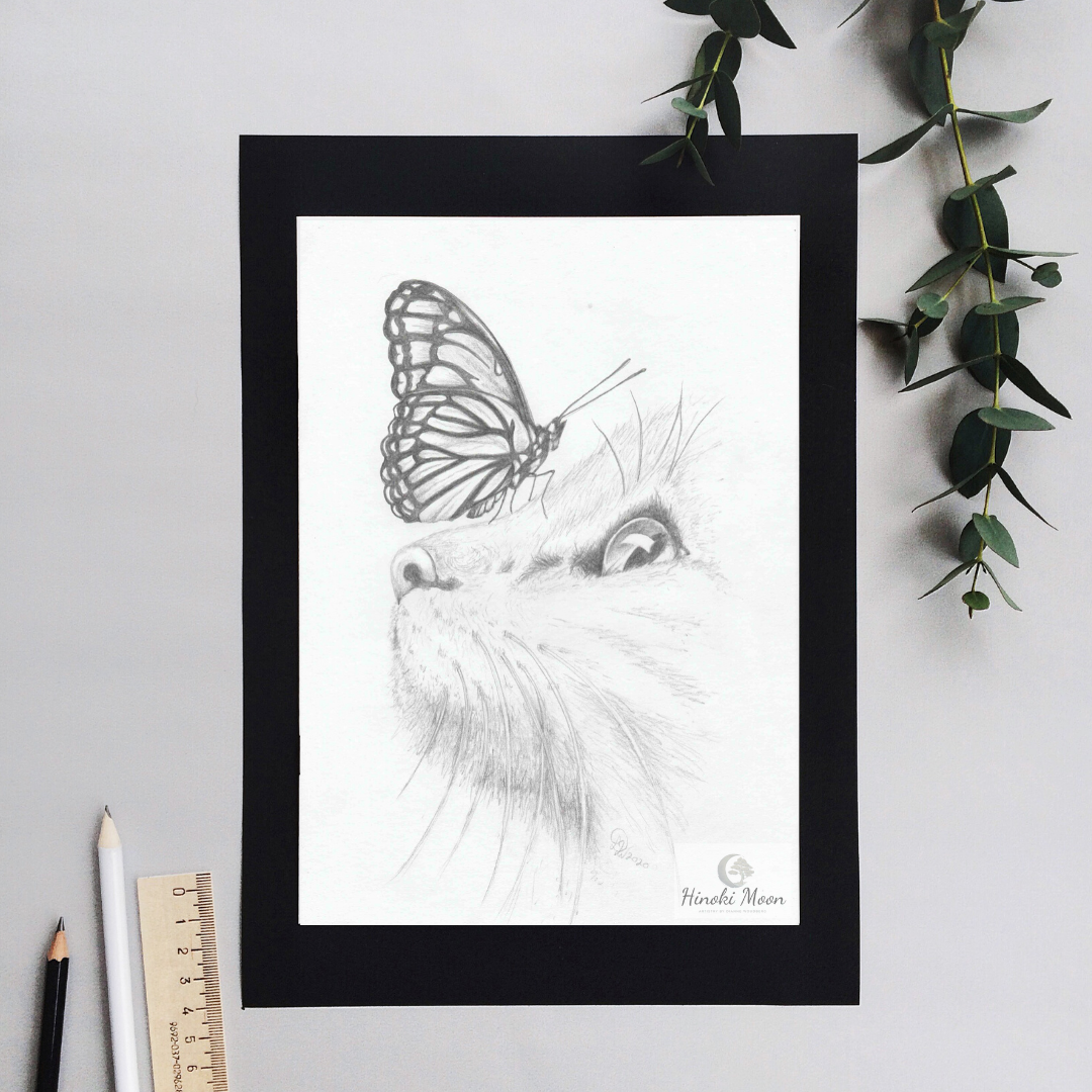 Pencil drawing of a cat with a butterfly by Dianne Woudberg