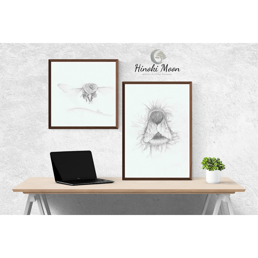 Desk with framed pencil drawings of a bee in flight and a bumble bee