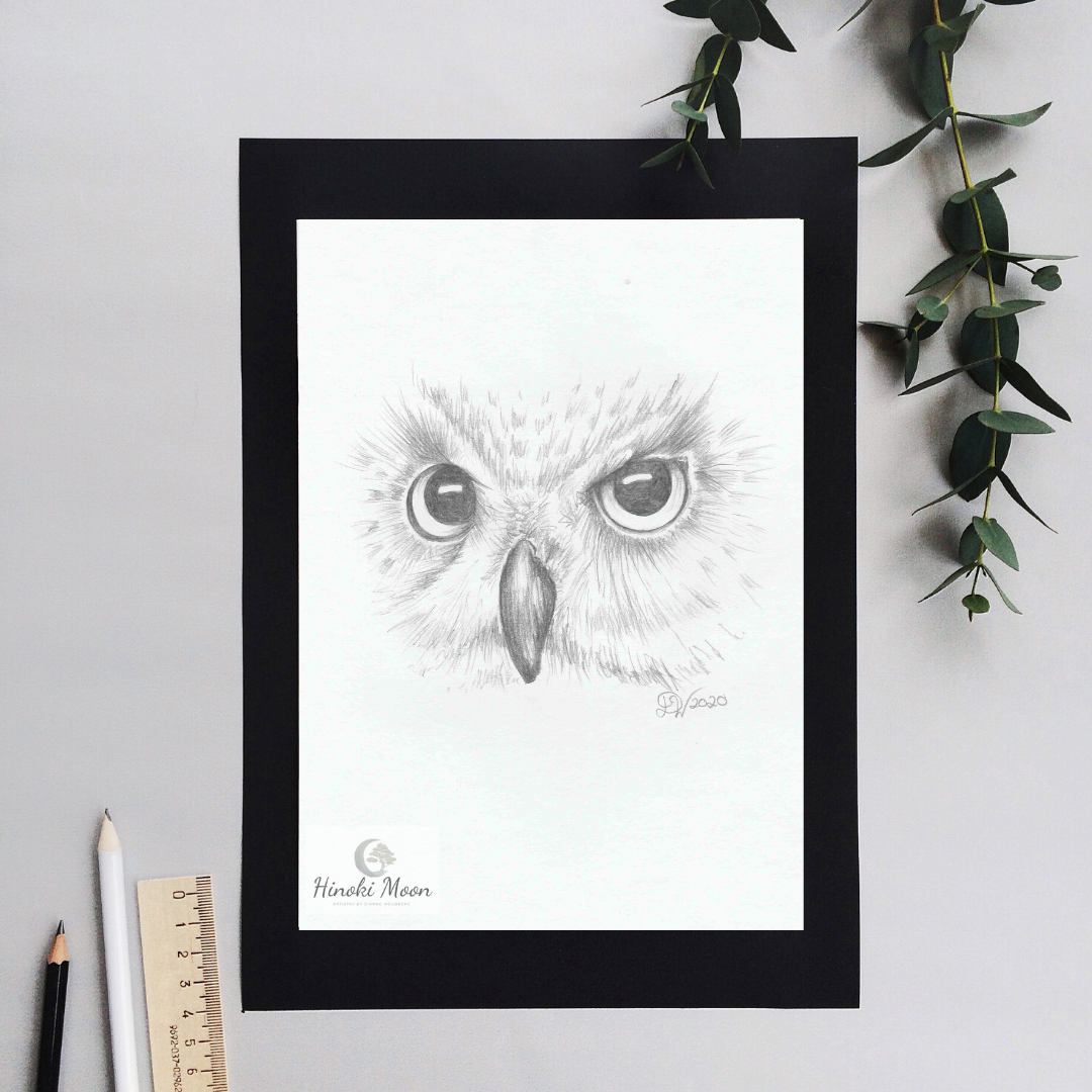 Pencil drawing of owl eyes by Dianne Woudberg